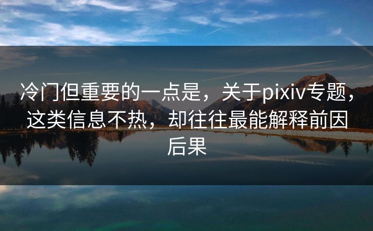 冷门但重要的一点是，关于pixiv专题，这类信息不热，却往往最能解释前因后果