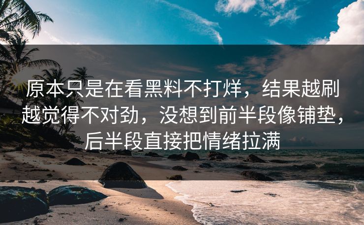 原本只是在看黑料不打烊，结果越刷越觉得不对劲，没想到前半段像铺垫，后半段直接把情绪拉满