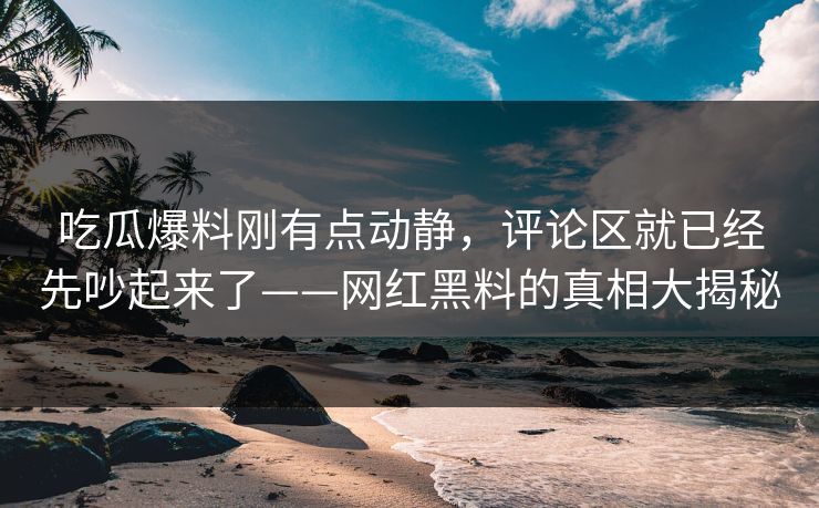 吃瓜爆料刚有点动静，评论区就已经先吵起来了——网红黑料的真相大揭秘