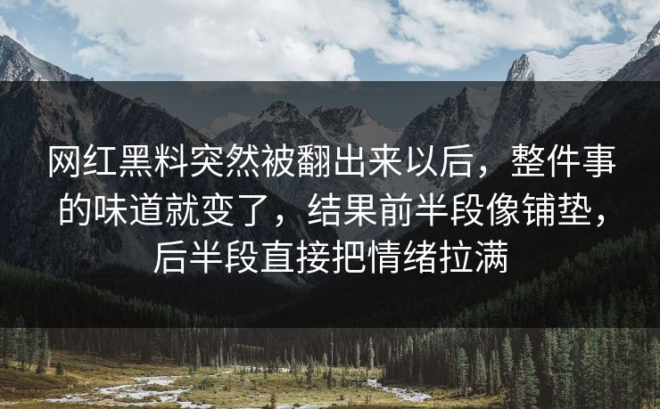 网红黑料突然被翻出来以后，整件事的味道就变了，结果前半段像铺垫，后半段直接把情绪拉满