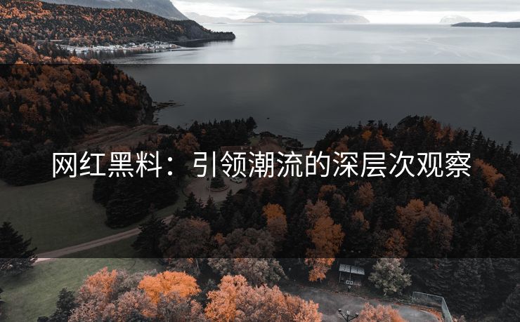 网红黑料：引领潮流的深层次观察