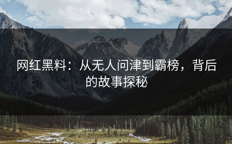 网红黑料：从无人问津到霸榜，背后的故事探秘
