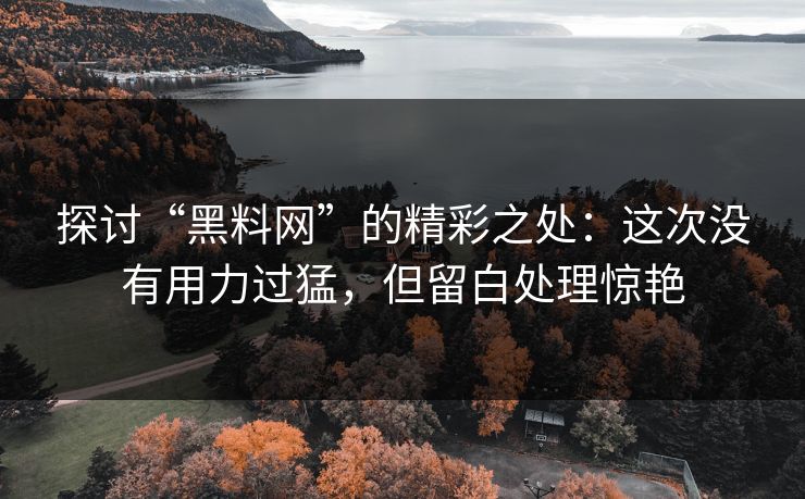 探讨“黑料网”的精彩之处：这次没有用力过猛，但留白处理惊艳