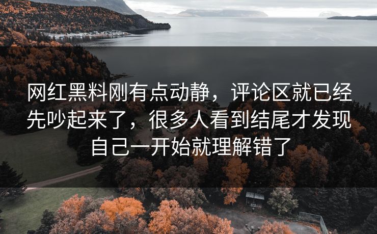 网红黑料刚有点动静，评论区就已经先吵起来了，很多人看到结尾才发现自己一开始就理解错了