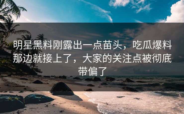 明星黑料刚露出一点苗头，吃瓜爆料那边就接上了，大家的关注点被彻底带偏了